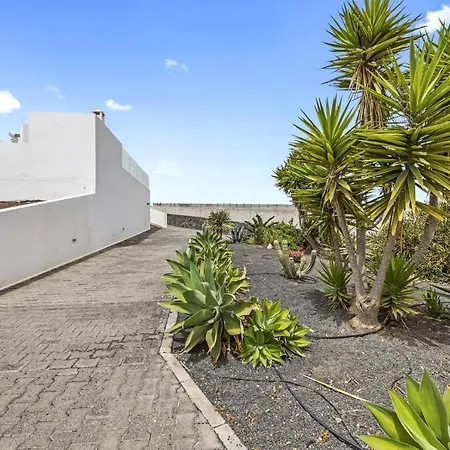 Flora - Vipvipvillas Playa Blanca